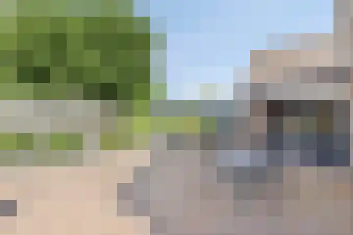 Woordlaan 1 Peize thumbnail 32