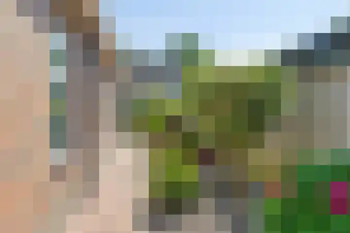 Woordlaan 1 Peize thumbnail 37