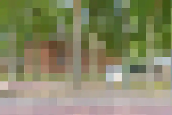 Woordlaan 1 Peize thumbnail 38