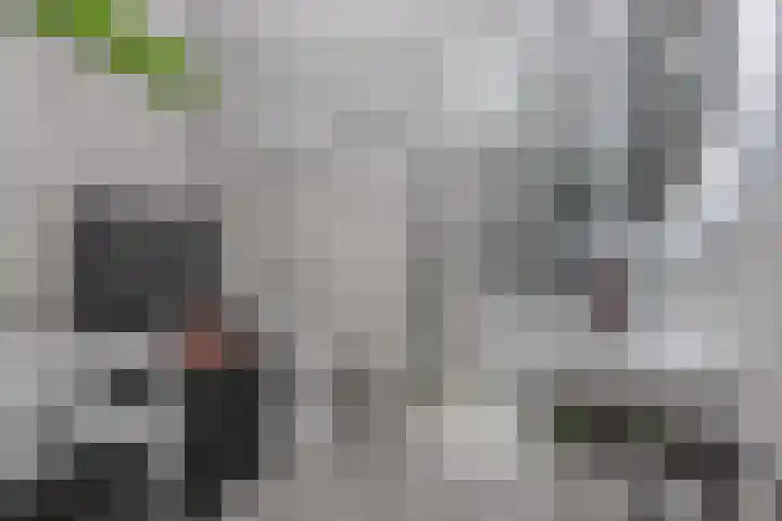 Workumstraat 69 Emmeloord thumbnail 24