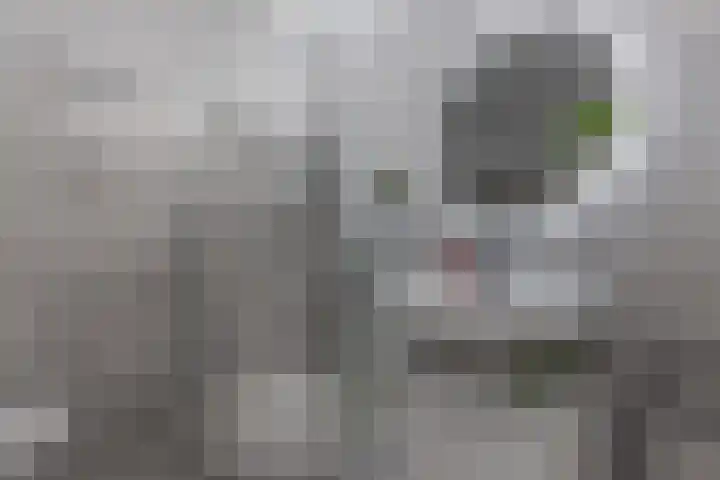 Workumstraat 69 Emmeloord thumbnail 25