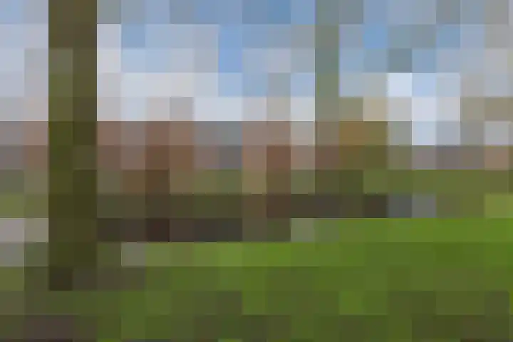 Workumstraat 69 Emmeloord thumbnail 37