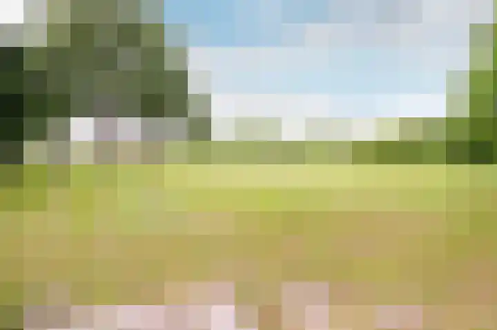 Wormer 10 Lelystad thumbnail 60