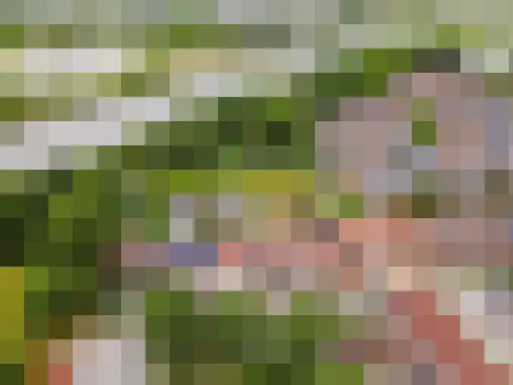 Wormer 10 Lelystad thumbnail 64