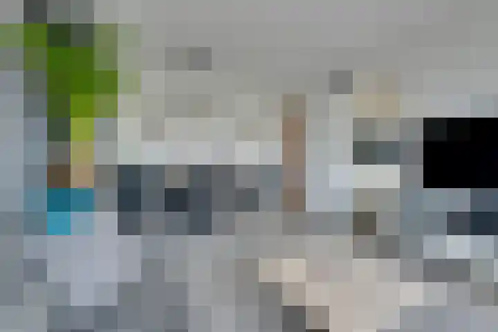Wormerplein 86 Purmerend thumbnail 15