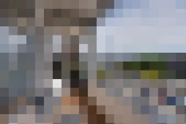 Wormerplein 86 Purmerend thumbnail 25