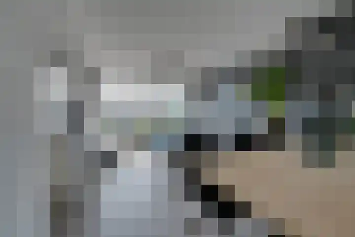 Wormerplein 86 Purmerend thumbnail 9