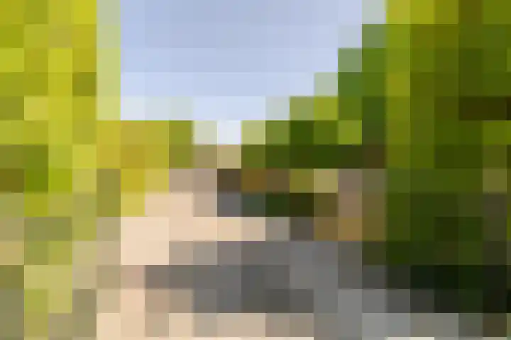Wormerweg 17 Westbeemster thumbnail 11