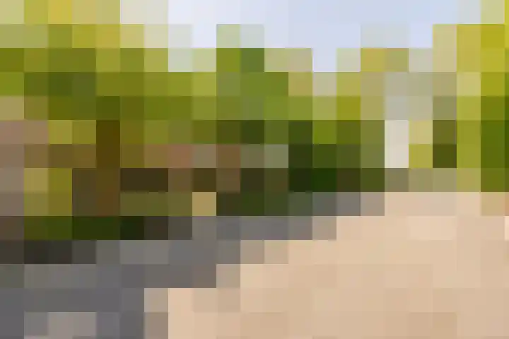 Wormerweg 17 Westbeemster thumbnail 12
