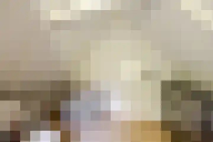 Wormerweg 17 Westbeemster thumbnail 32