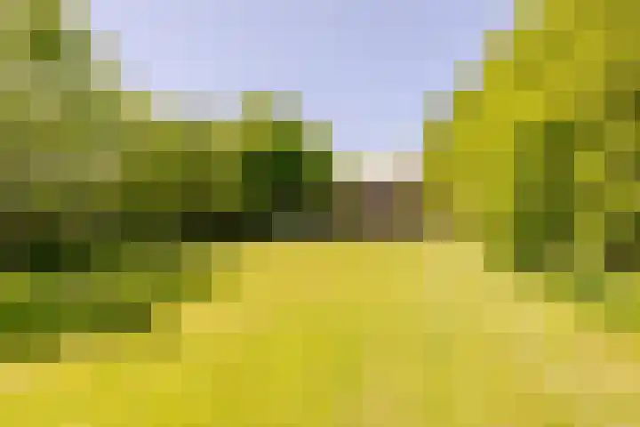 Wormerweg 17 Westbeemster thumbnail 4