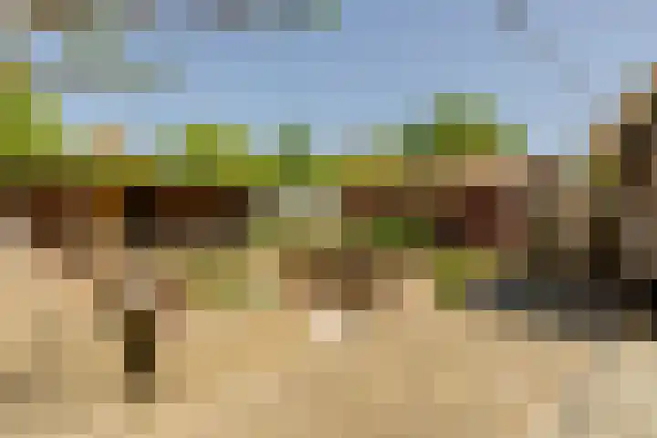 Wormerweg 17 Westbeemster thumbnail 43