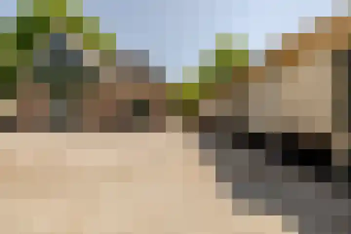 Wormerweg 17 Westbeemster thumbnail 55