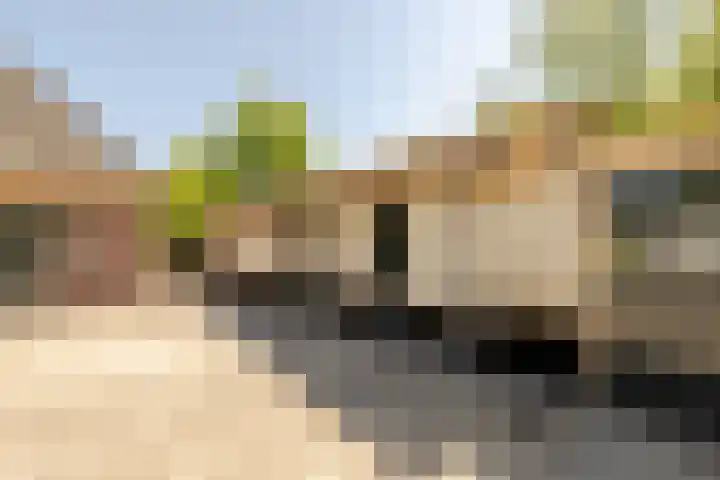 Wormerweg 17 Westbeemster thumbnail 56