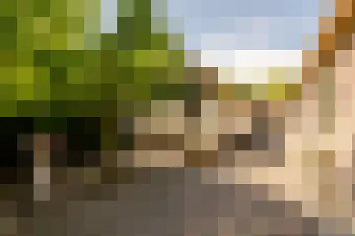 Wormerweg 17 Westbeemster thumbnail 60