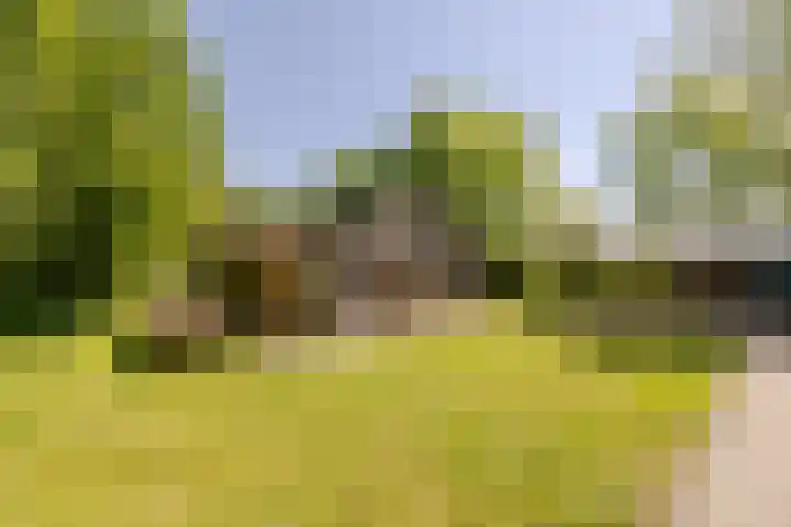Wormerweg 17 Westbeemster thumbnail 76