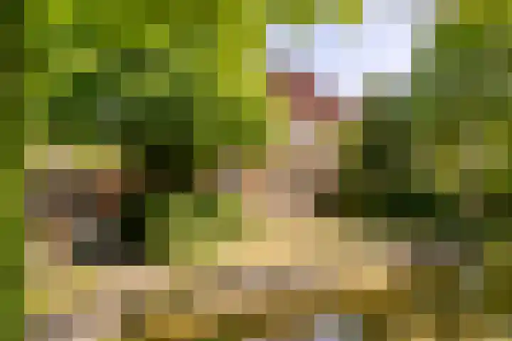 Wormerweg 17 Westbeemster thumbnail 8