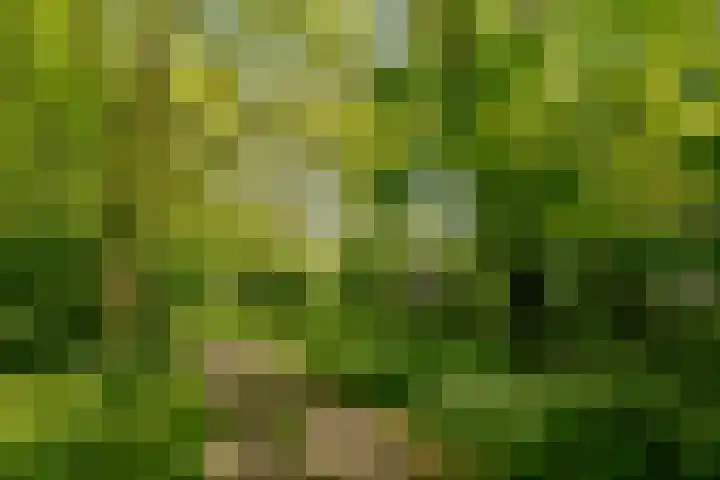 Wormerweg 17 Westbeemster thumbnail 85