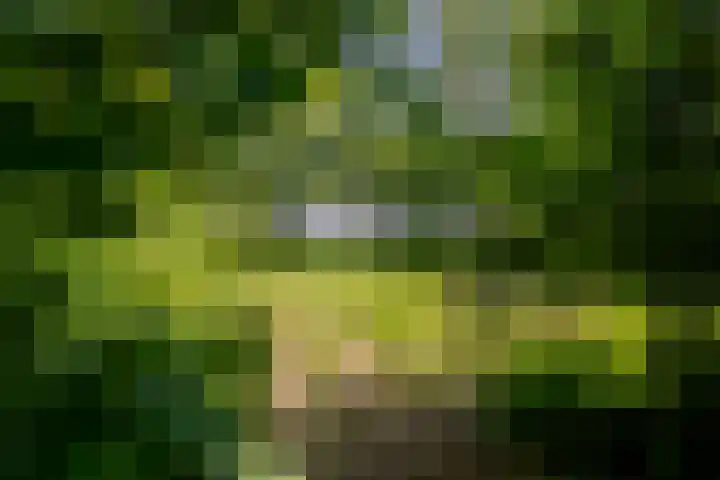 Wormerweg 17 Westbeemster thumbnail 86