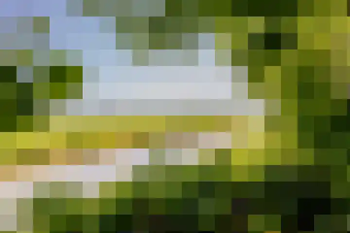 Wormerweg 17 Westbeemster thumbnail 88