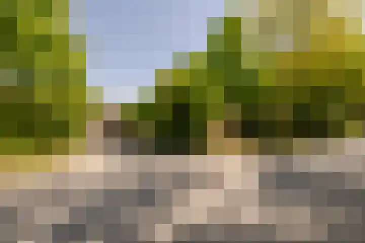 Wormerweg 17 Westbeemster thumbnail 9