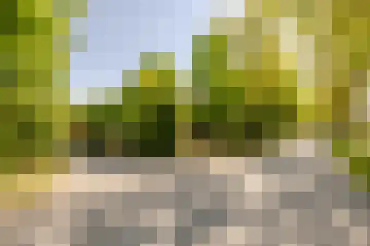 Wormerweg 17 Westbeemster thumbnail 90