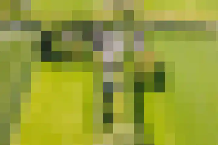 Wormerweg 17 Westbeemster thumbnail 92