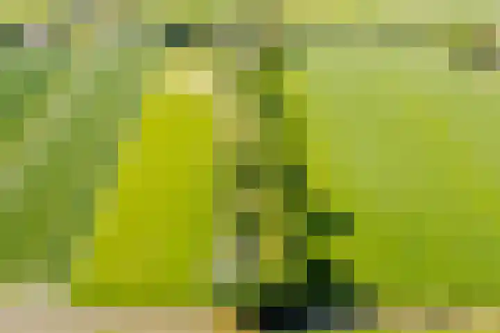 Wormerweg 17 Westbeemster thumbnail 94