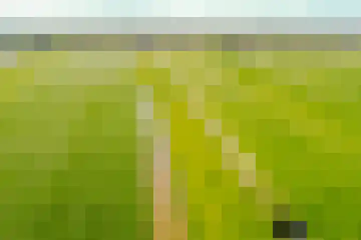 Wormerweg 17 Westbeemster thumbnail 95