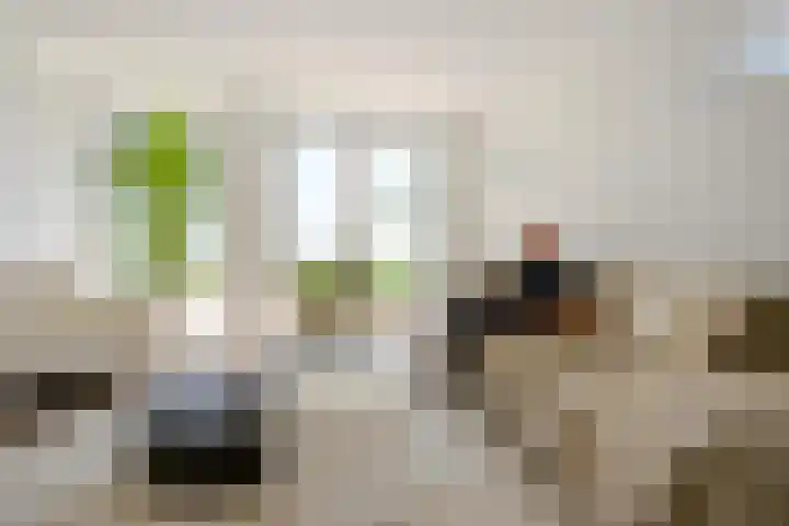 Wormerweg 22 A Westbeemster thumbnail 13