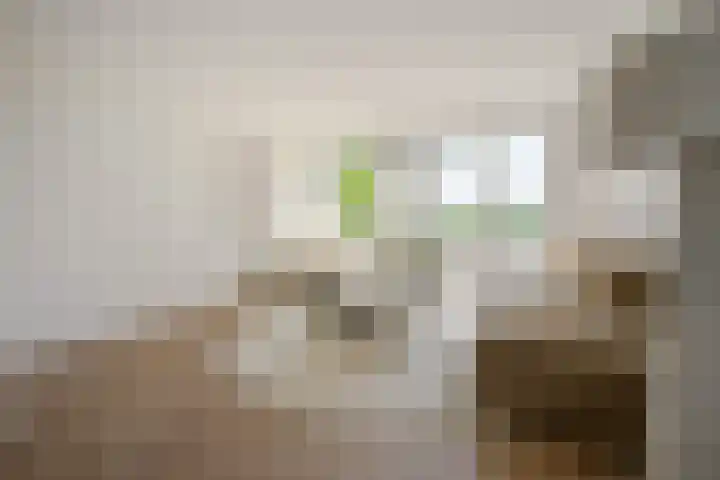 Wormerweg 22 A Westbeemster thumbnail 17