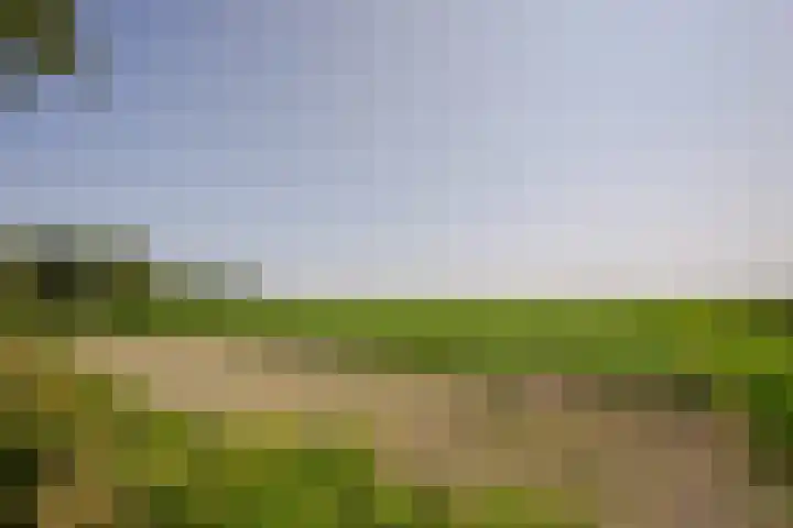Wormerweg 22 A Westbeemster thumbnail 4