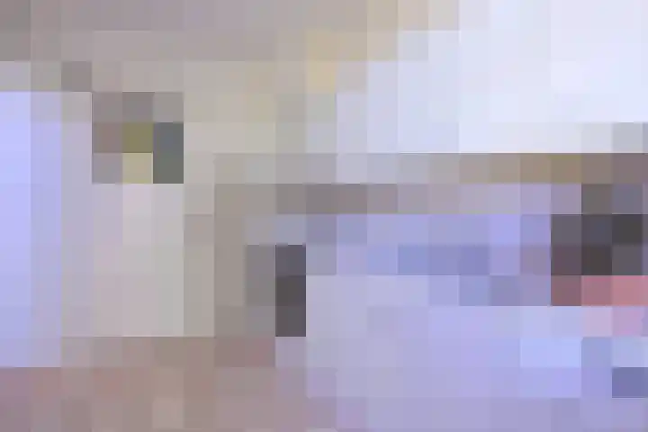 Worp 5 Deventer thumbnail 12
