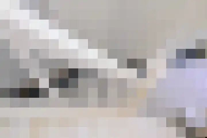 Worp 5 Deventer thumbnail 14