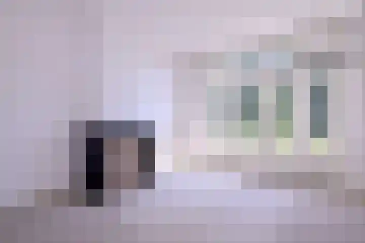 Worp 5 Deventer thumbnail 18