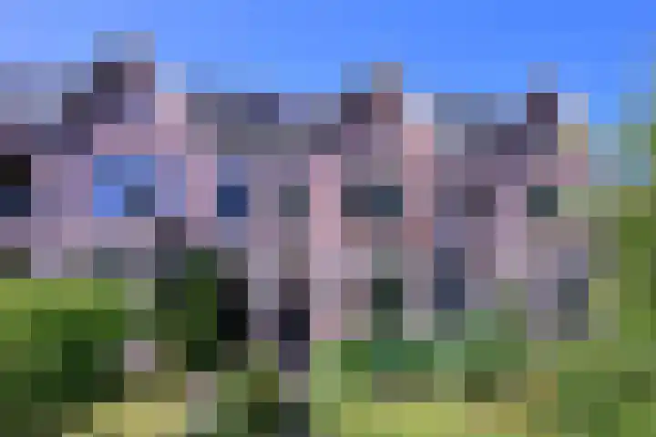 Worp 5 Deventer foto 2