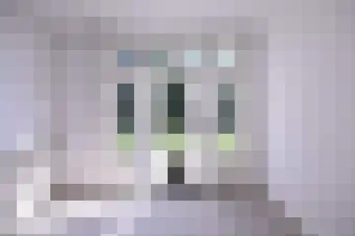 Worp 5 Deventer thumbnail 20