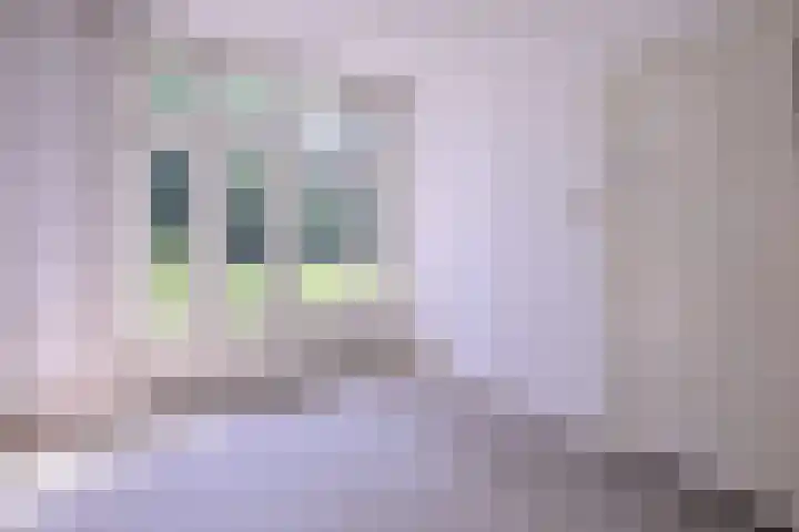 Worp 5 Deventer thumbnail 22