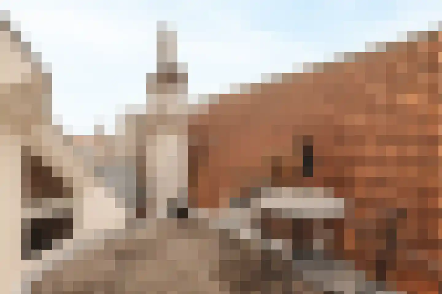 Worp 5 Deventer thumbnail 25