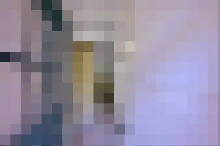 Worp 5 Deventer thumbnail 4