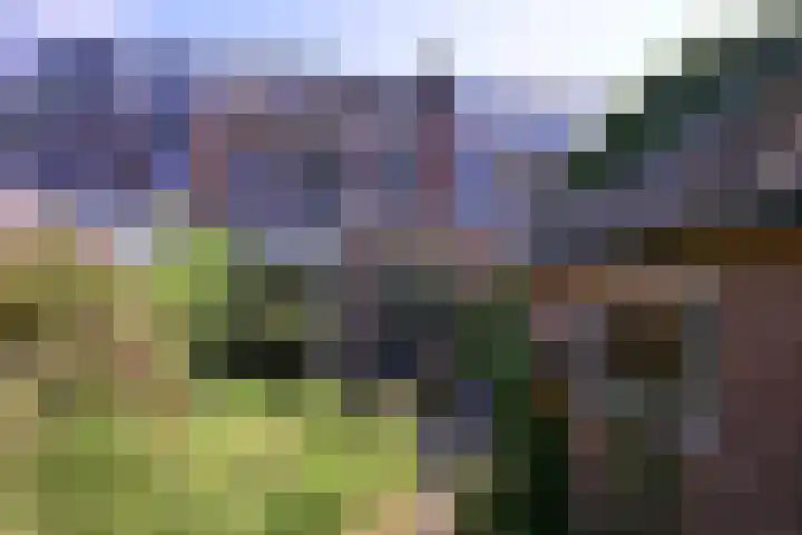 Worp 5 Deventer thumbnail 40