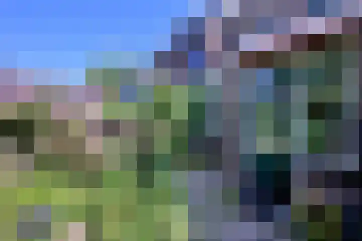 Worp 5 Deventer thumbnail 41
