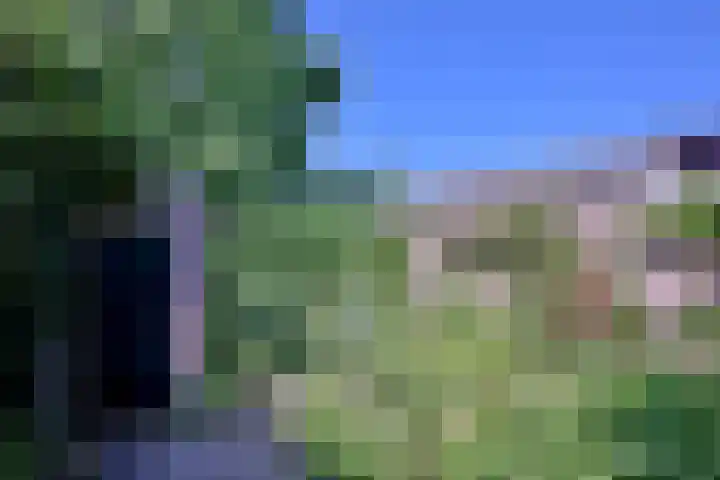 Worp 5 Deventer thumbnail 42