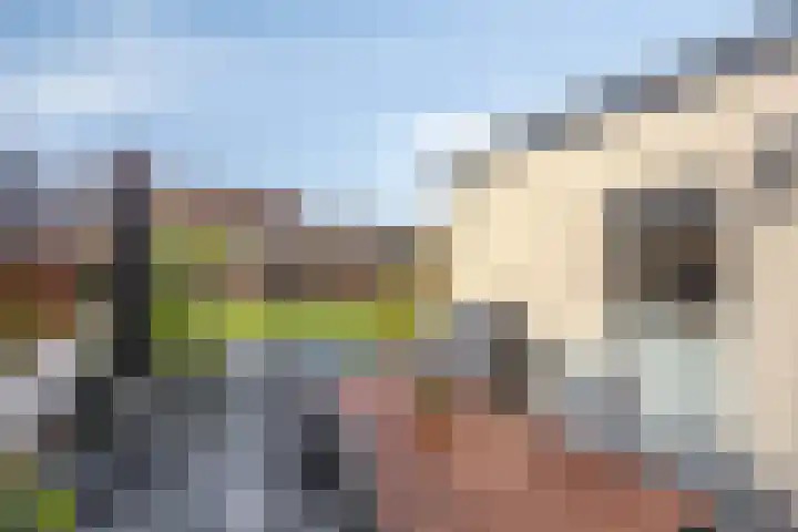 Worp 5 Deventer thumbnail 43