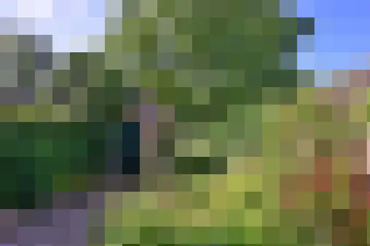 Worp 5 Deventer thumbnail 43