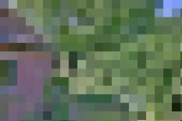 Worp 5 Deventer thumbnail 44