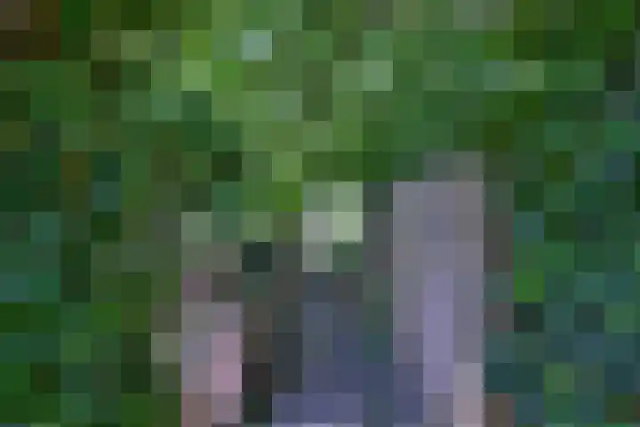 Worp 5 Deventer thumbnail 45