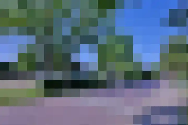 Worp 5 Deventer thumbnail 46
