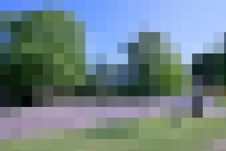 Worp 5 Deventer thumbnail 47
