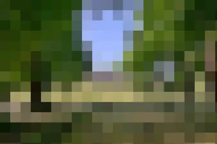 Worp 5 Deventer thumbnail 50